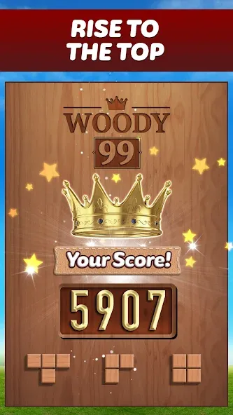 Взлом Woody 99 — Sudoku Block Puzzle (Вуди 99)  [МОД Unlocked] — полная версия apk на Андроид screen 5