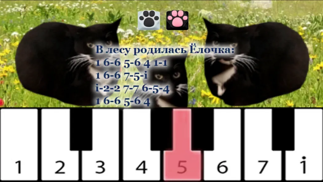 Взлом Maxwell the Cat piano (Максвелл зе Кэт пиано)  [МОД Много монет] — полная версия apk на Андроид screen 1