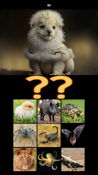 Скачать взлом Hybrid Animals Crazy Lab Quiz (Хибридные животные Сумасшедшая лаборатория Викторина)  [МОД Unlocked] — полная версия apk на Андроид screen 5