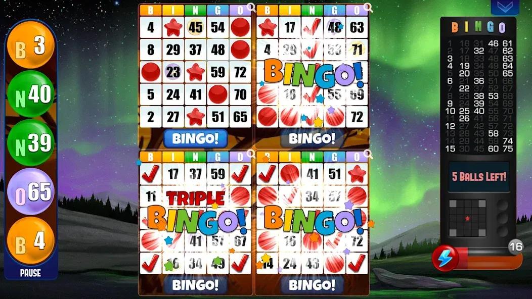 Взлом Absolute Bingo  [МОД Много монет] — стабильная версия apk на Андроид screen 2