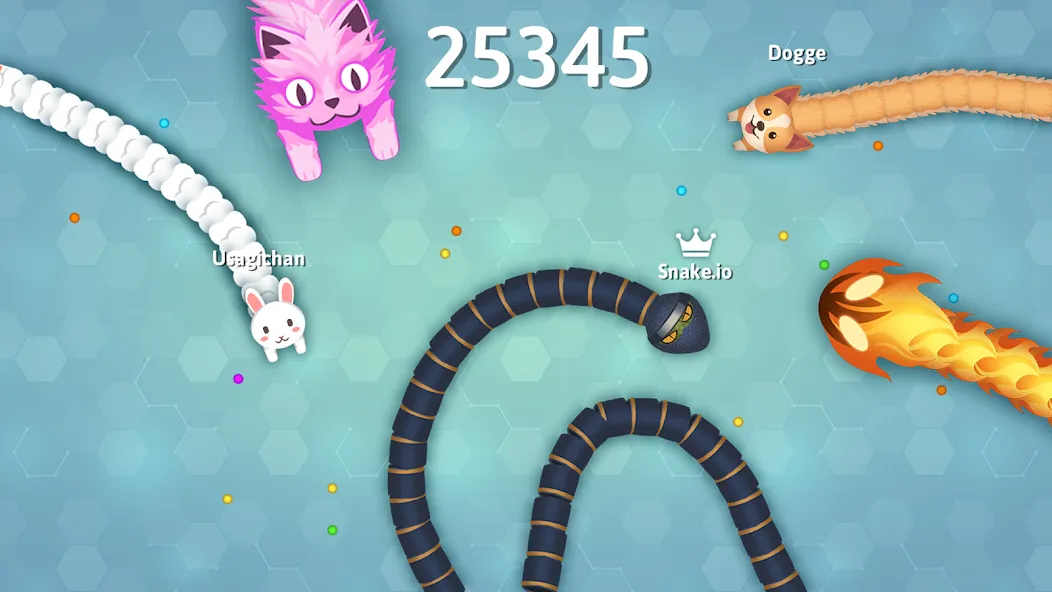 Взлом Snake.io — Fun Snake .io Games  [МОД Много денег] — последняя версия apk на Андроид screen 1