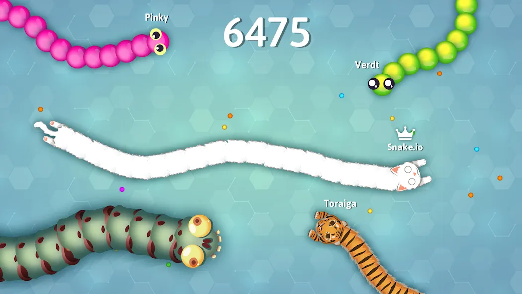 Взлом Snake.io — Fun Snake .io Games  [МОД Много денег] — последняя версия apk на Андроид screen 5