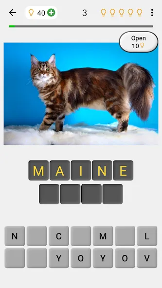 Взлом Cats Quiz Guess Popular Breeds  [МОД Меню] — стабильная версия apk на Андроид screen 1