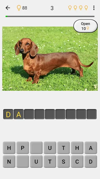 Скачать взлом Dogs Quiz — Guess All Breeds!  [МОД Меню] — полная версия apk на Андроид screen 2