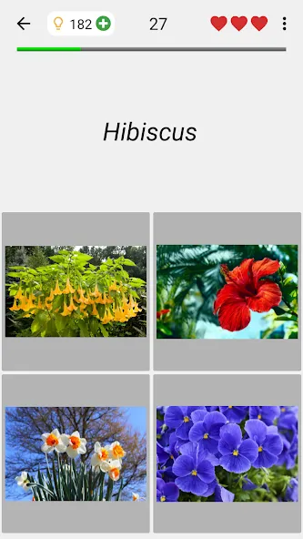 Скачать взлом Flowers Quiz — Identify Plants  [МОД Меню] — последняя версия apk на Андроид screen 4