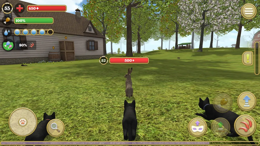 Взлом Cat Simulator : Kitties Family  [МОД Бесконечные деньги] — последняя версия apk на Андроид screen 2