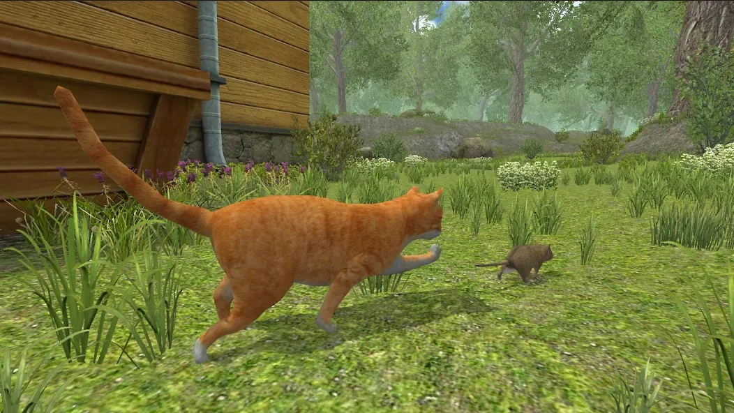 Скачать взлом Mouse Simulator :  Forest Home  [МОД Меню] — полная версия apk на Андроид screen 3