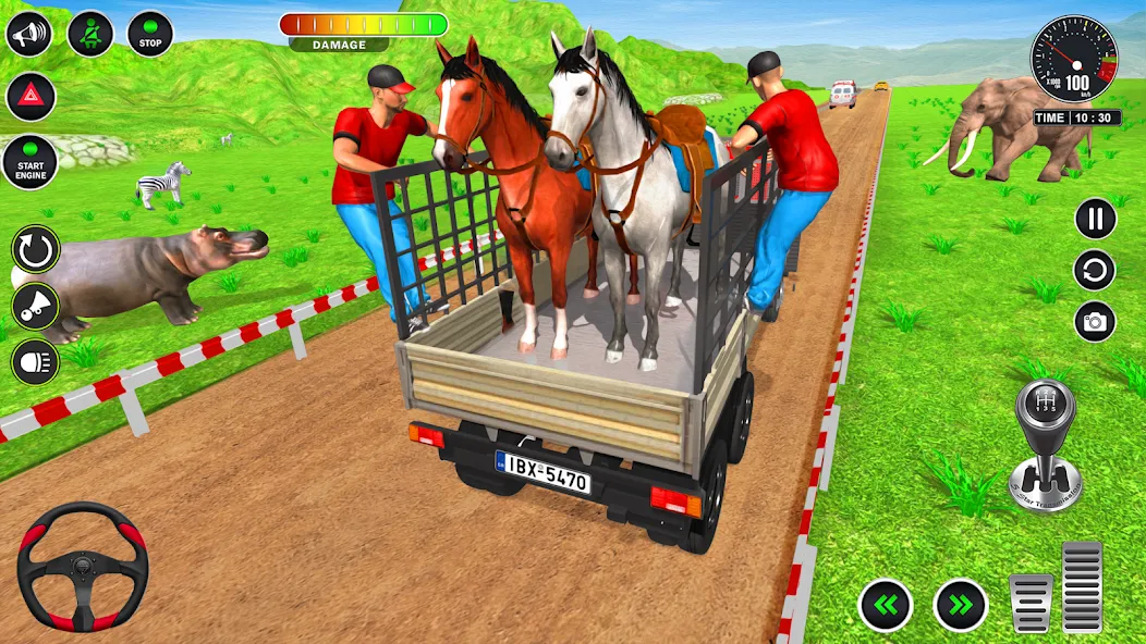 Взломанная Animal Transport Truck Game 3D (Игра Грузовик для перевозки животных)  [МОД Menu] — полная версия apk на Андроид screen 4