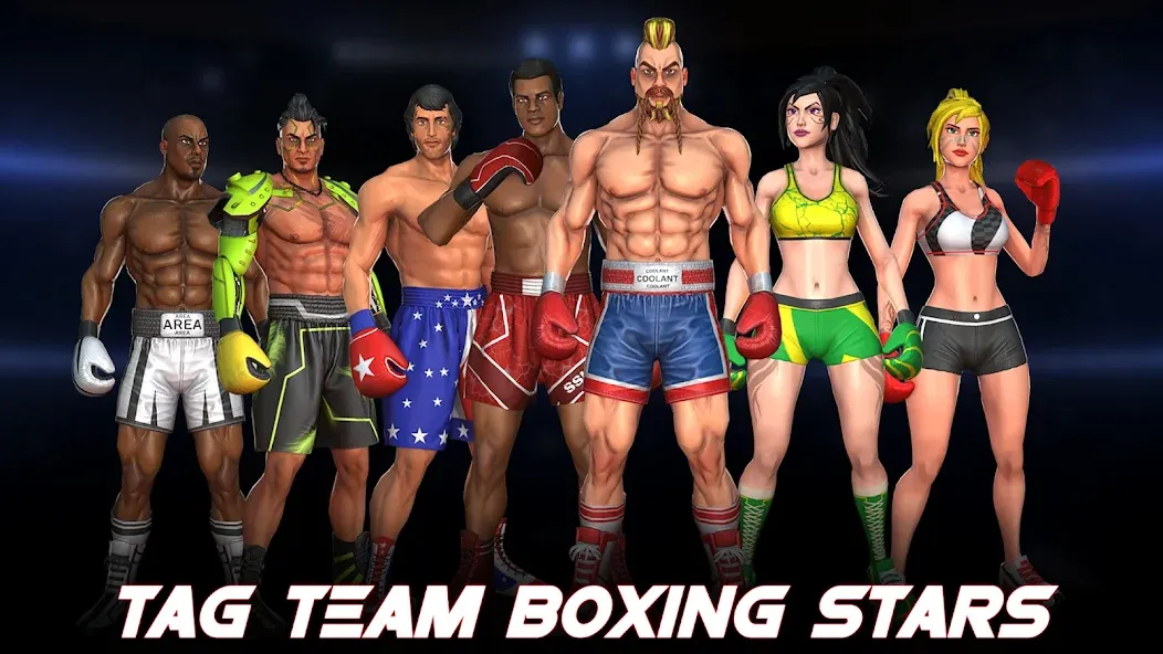 Скачать взломанную Boxing Heros: Fighting Games (Тэг Боксинг Игры)  [МОД Unlocked] — стабильная версия apk на Андроид screen 5