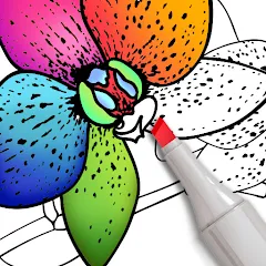 Coloring for adults offline