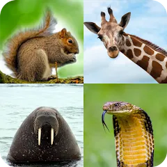 Animal Quiz: Guess the Animal