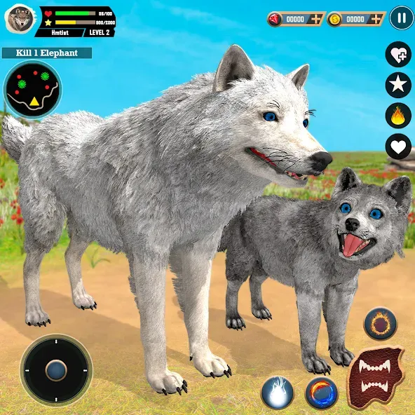 Взлом Wild Wolf Simulator Games  [МОД Unlimited Money] — последняя версия apk на Андроид screen 1