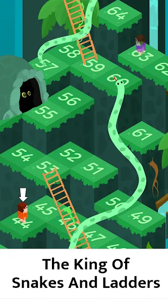 Взломанная Snakes and Ladders Board Games  [МОД Меню] — последняя версия apk на Андроид screen 1