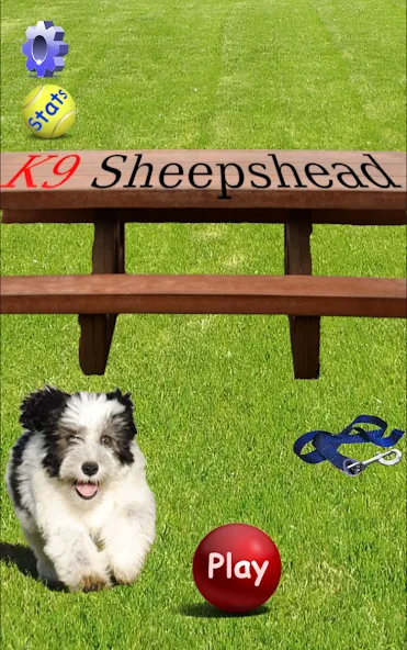 Скачать взлом K9 Sheepshead (Schafkopf) (Шипсхед)  [МОД Много денег] — последняя версия apk на Андроид screen 1