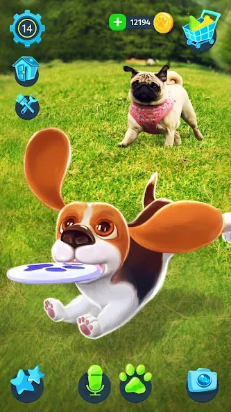 Скачать взлом Tamadog — Puppy Pet Dog Games (Тамадог)  [МОД Много монет] — стабильная версия apk на Андроид screen 3