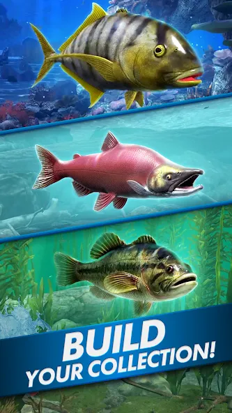 Скачать взломанную Ultimate Fishing! Fish Game  [МОД Menu] — полная версия apk на Андроид screen 5