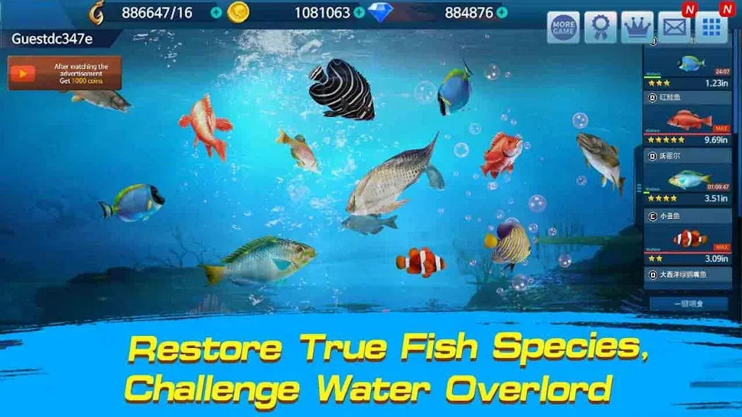 Скачать взломанную Fishing Championship  [МОД Много монет] — стабильная версия apk на Андроид screen 2