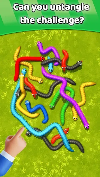 Взломанная Tangled Snakes Puzzle Game (Танглед Снейк 3Д)  [МОД Menu] — последняя версия apk на Андроид screen 5