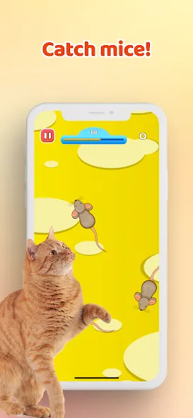 Взлом Games for Cat－Toy Mouse & Fish  [МОД Unlocked] — стабильная версия apk на Андроид screen 1