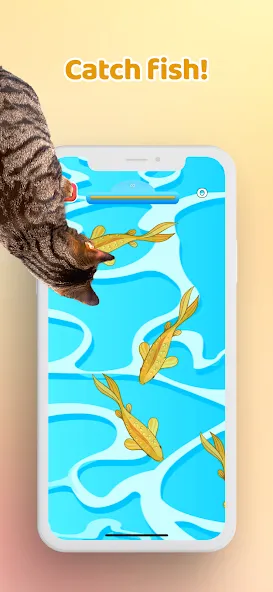 Взлом Games for Cat－Toy Mouse & Fish  [МОД Unlocked] — стабильная версия apk на Андроид screen 3