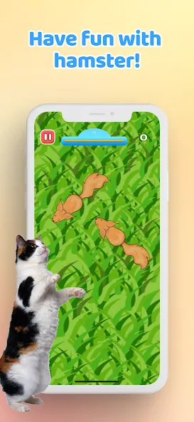 Взлом Games for Cat－Toy Mouse & Fish  [МОД Unlocked] — стабильная версия apk на Андроид screen 5