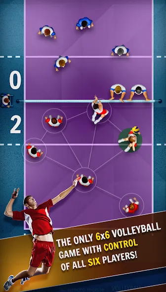 Взлом Volleyball Championship (Волейбольный чемпионат)  [МОД Menu] — стабильная версия apk на Андроид screen 4