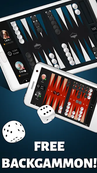 Скачать взлом Backgammon Offline  [МОД Бесконечные деньги] — стабильная версия apk на Андроид screen 2