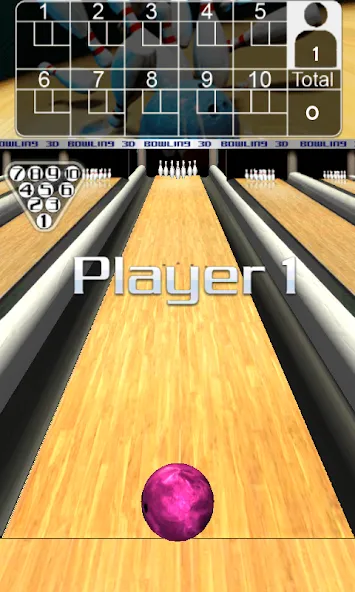 Взлом 3D Bowling  [МОД Menu] — полная версия apk на Андроид screen 2