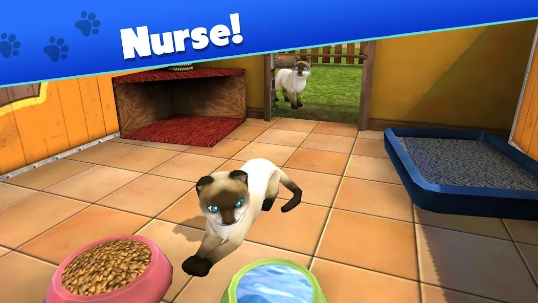 Скачать взломанную Pet World — My Animal Shelter (Пет Ворлд)  [МОД Меню] — стабильная версия apk на Андроид screen 3