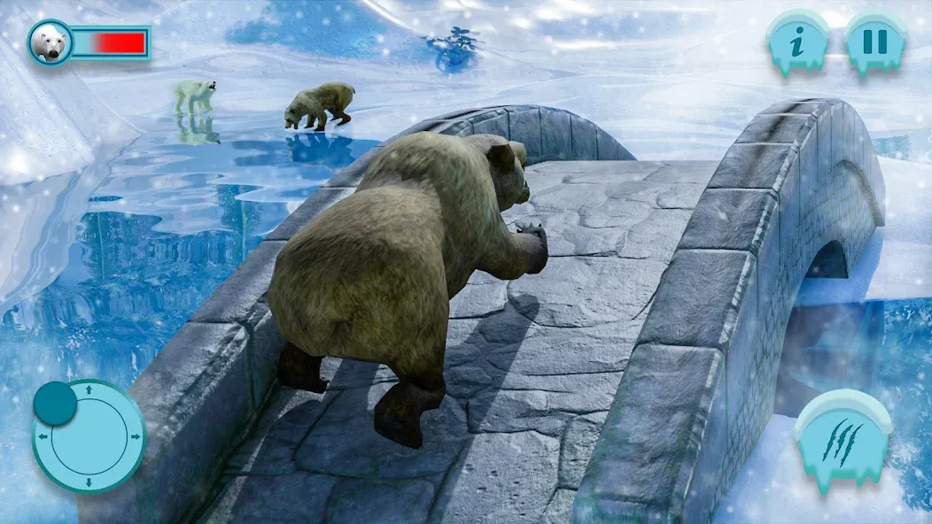 Взлом Polar Bear Family Survival  [МОД Бесконечные деньги] — последняя версия apk на Андроид screen 1