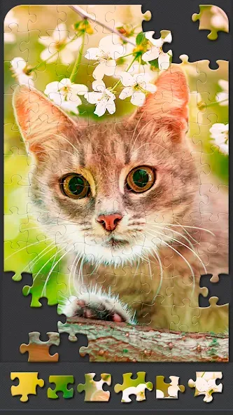 Взлом Jigsaw Puzzles for Adults  [МОД Все открыто] — полная версия apk на Андроид screen 5