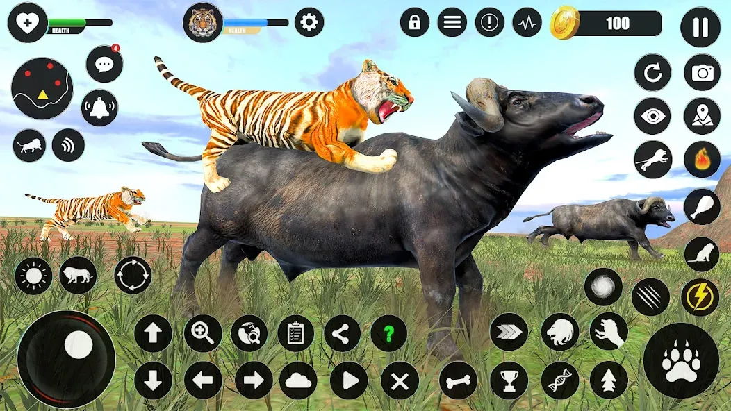 Скачать взлом Tiger Simulator Animal Games (Тигровый симулятор  игры с животными)  [МОД Много монет] — последняя версия apk на Андроид screen 4