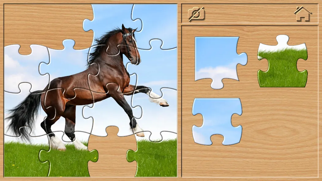 Взлом Animal Puzzles for Kids  [МОД Бесконечные монеты] — последняя версия apk на Андроид screen 5