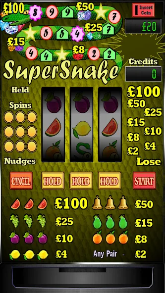 Скачать взломанную Super Snake Slot Machine  [МОД Много монет] — последняя версия apk на Андроид screen 1