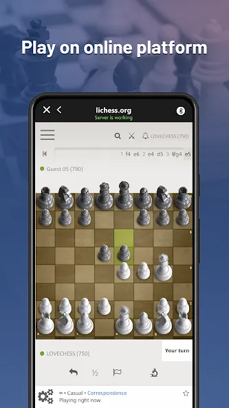 Взломанная Chessnut (Честнат)  [МОД Menu] — полная версия apk на Андроид screen 2