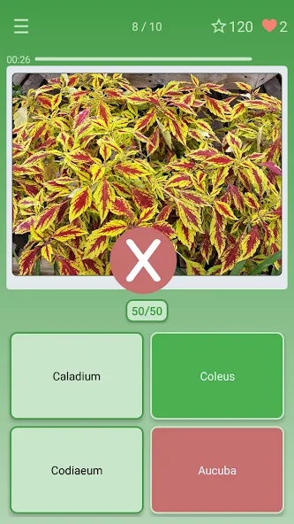 Скачать взлом Quiz: Flowers, Plants  [МОД Меню] — стабильная версия apk на Андроид screen 3